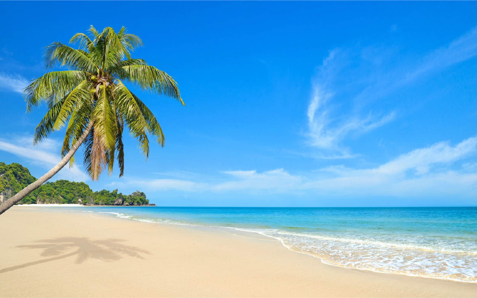 Karma Royal Palms, Goa Banner
