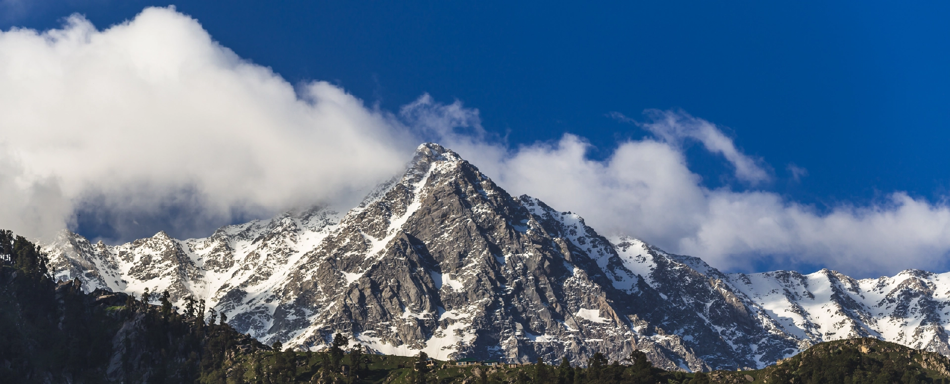 Karma Tashi, Dharamshala Banner